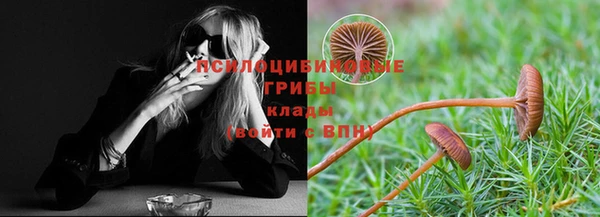 apvp Кинешма