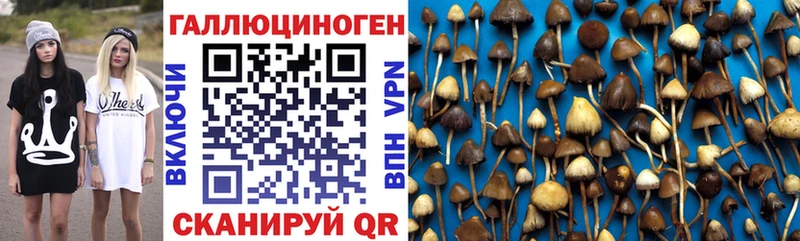 Галлюциногенные грибы GOLDEN TEACHER  Дмитриев 